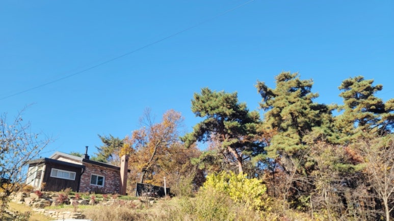 매리앤스가든 이미지