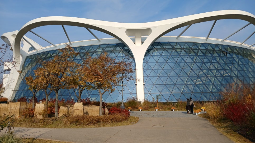 브로콜리 지역정보 관련 사진 2