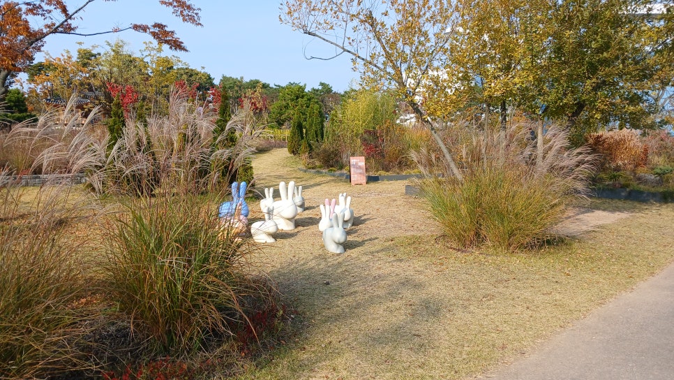 브로콜리 지역정보 관련 사진 11