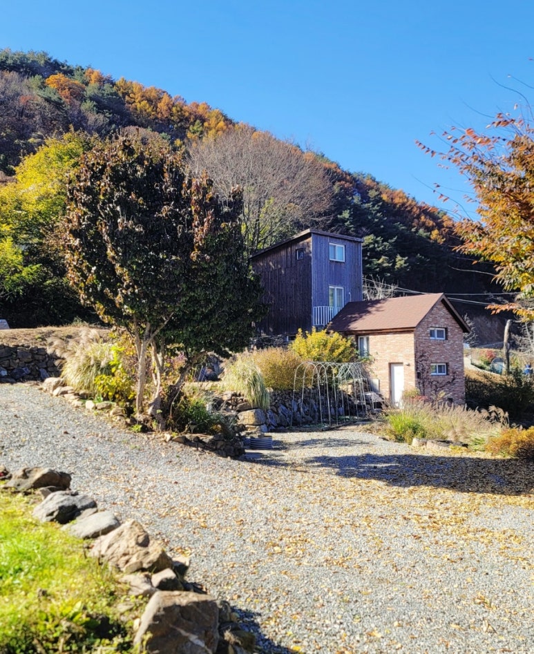 매리앤스가든 이미지