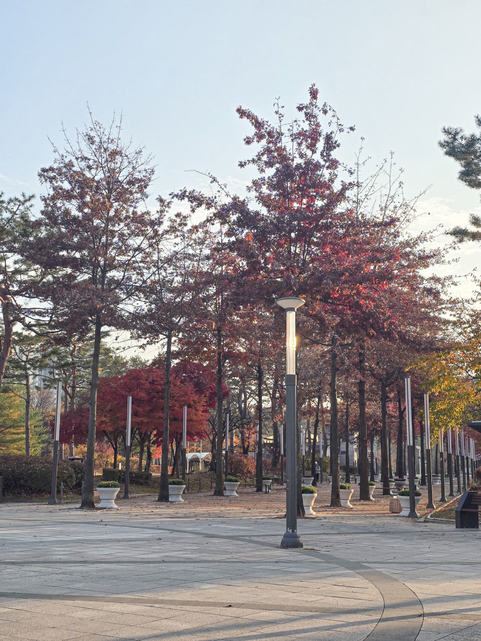 동탄 가을 단풍 명소: 강아지와 함께 센트럴파크, 노작공원 데이트 — 사진 7