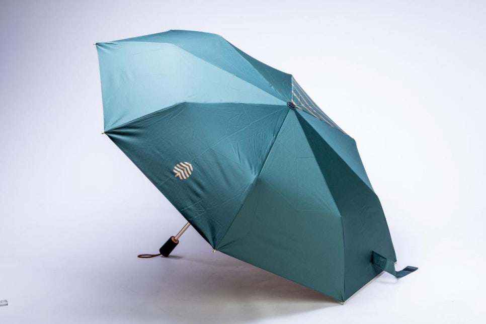 브로콜리 지역정보 관련 사진 9