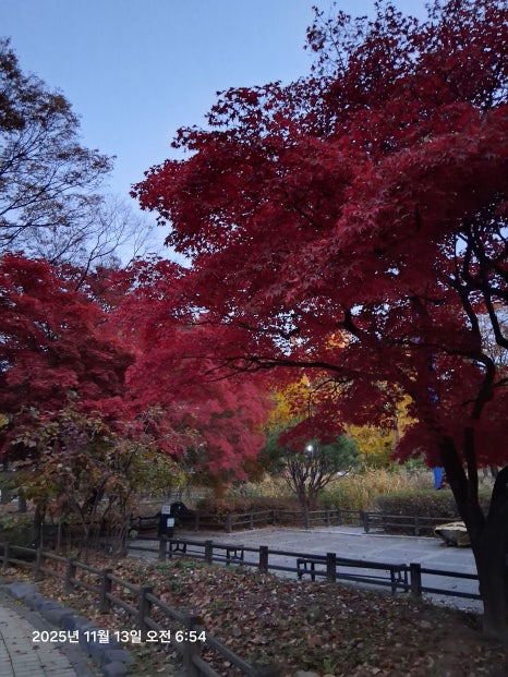 풍기인삼시장 이미지