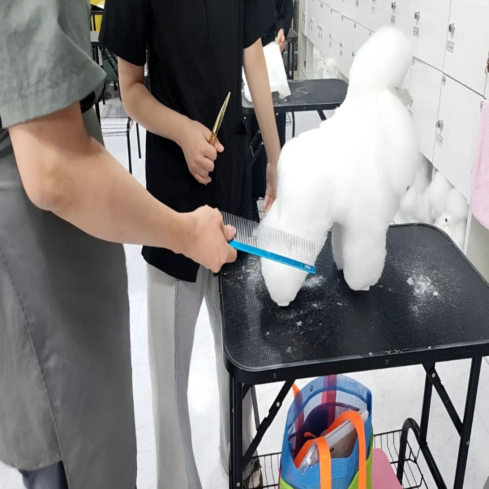 서울 애견미용학원, 주부도 자격증 취득 가능한 비용과 후기 — 사진 4