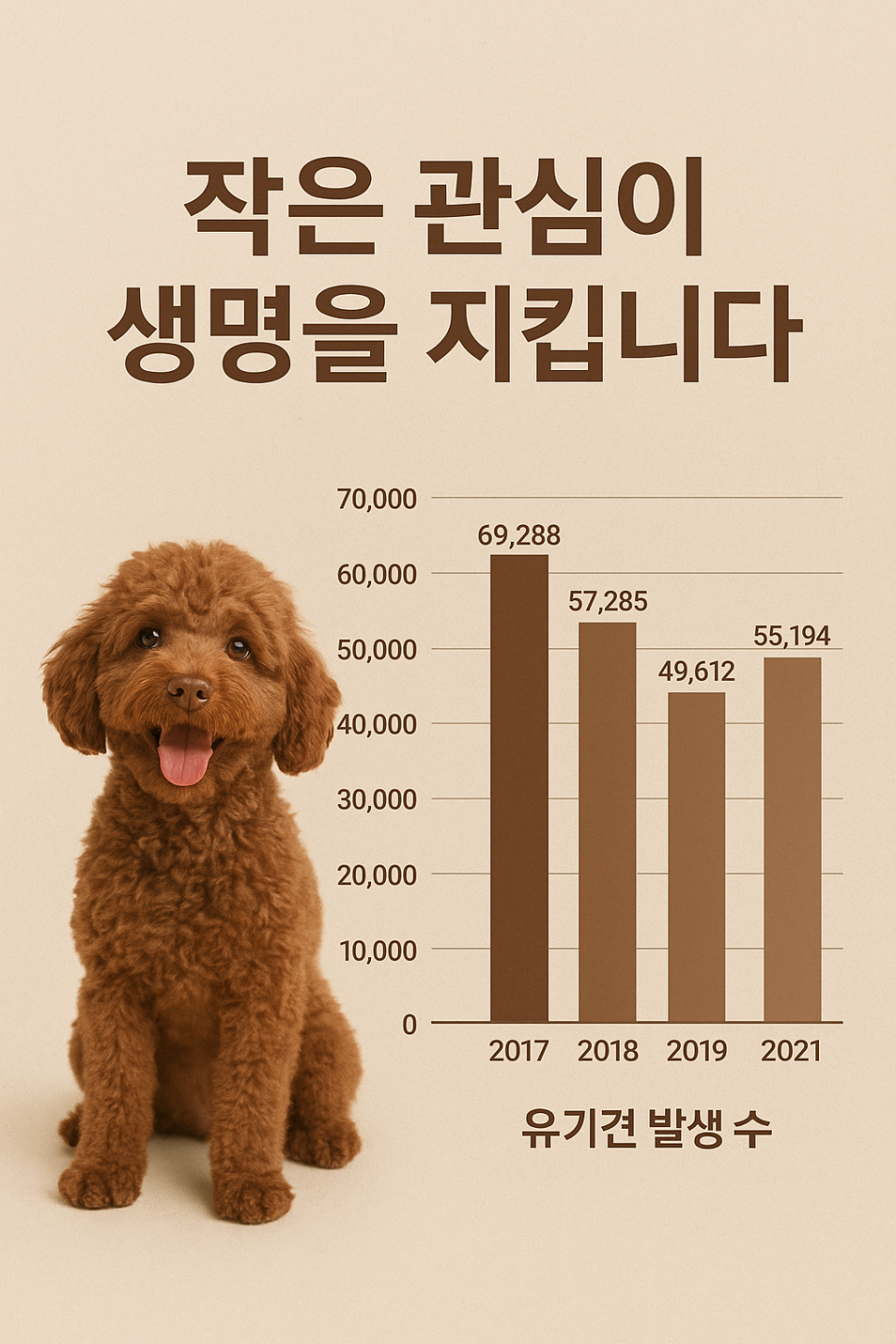 강동 애견미용 무료, 유기견 기부로 따뜻한 나눔 실천