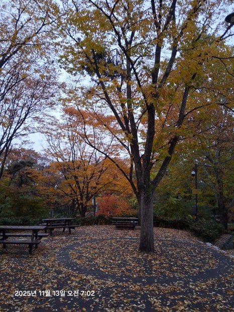 풍기인삼시장 이미지