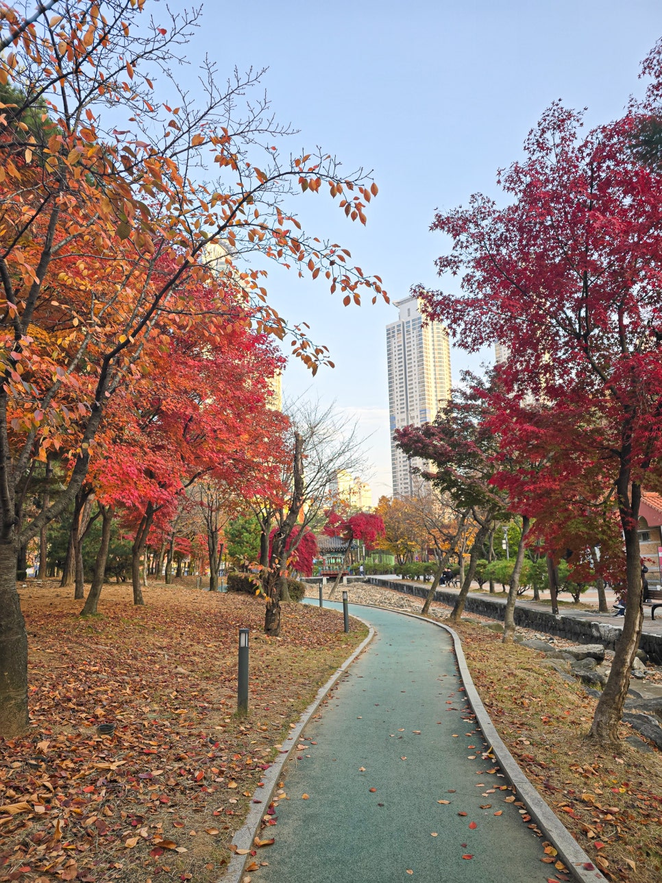 동탄 가을 단풍 명소: 강아지와 함께 센트럴파크, 노작공원 데이트 — 사진 8
