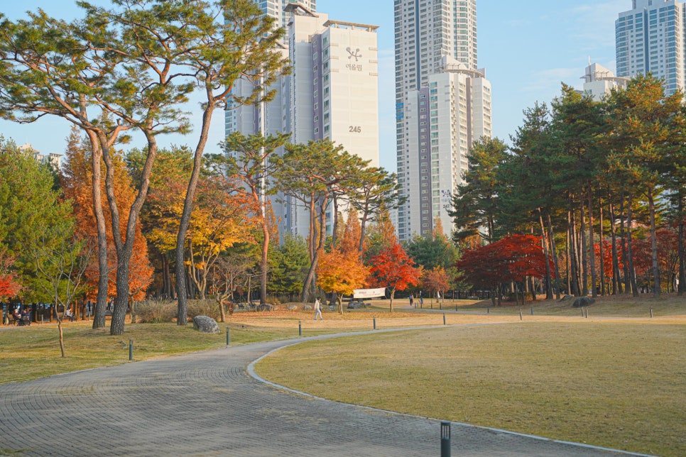 동탄 가을 단풍 명소: 강아지와 함께 센트럴파크, 노작공원 데이트 — 사진 6