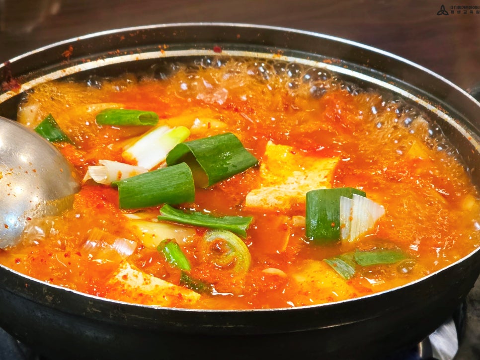 우리돈삼이 사진 7