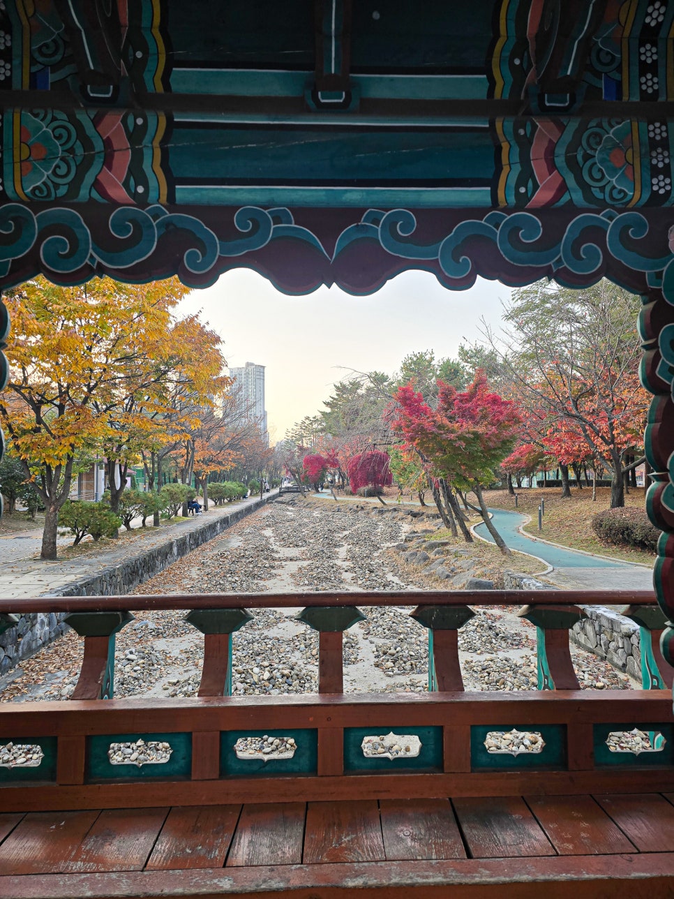 동탄 가을 단풍 명소: 강아지와 함께 센트럴파크, 노작공원 데이트 — 사진 10
