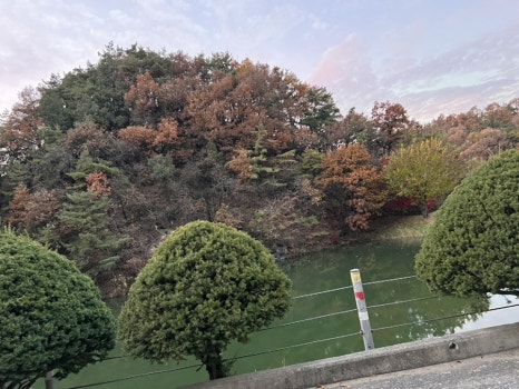 장인가마솥 이미지