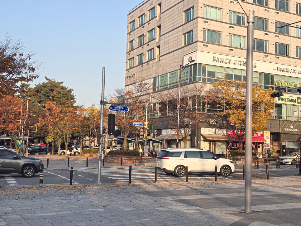 동탄 가을 단풍 명소: 강아지와 함께 센트럴파크, 노작공원 데이트 — 사진 4