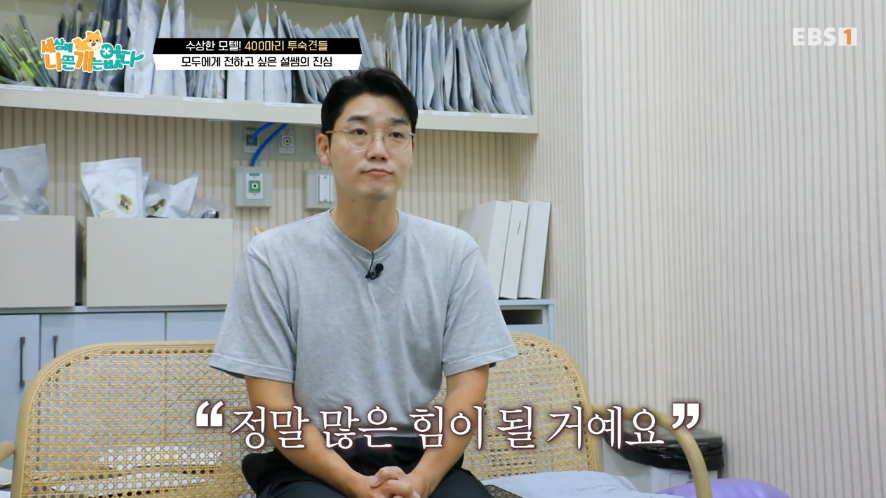 송파 강아지 무료 미용: 기부하고 예뻐지세요 — 사진 3