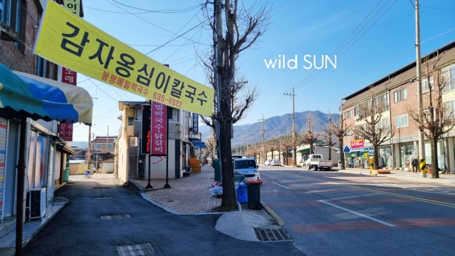 풍기인삼시장 이미지