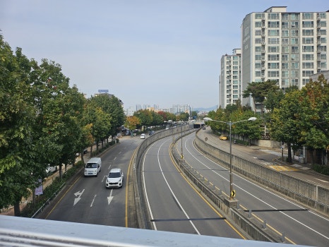 고산감자탕뼈해장국 사진 6