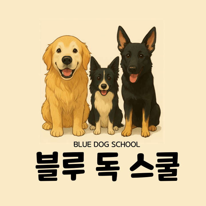 울산 강아지 짖음·입질 교정 훈련 후기