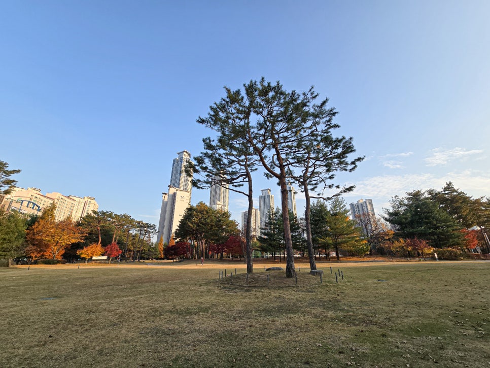 동탄 가을 단풍 명소: 강아지와 함께 센트럴파크, 노작공원 데이트 — 사진 5
