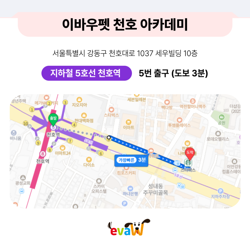 송파 강아지 무료 미용: 기부하고 예뻐지세요 — 사진 4