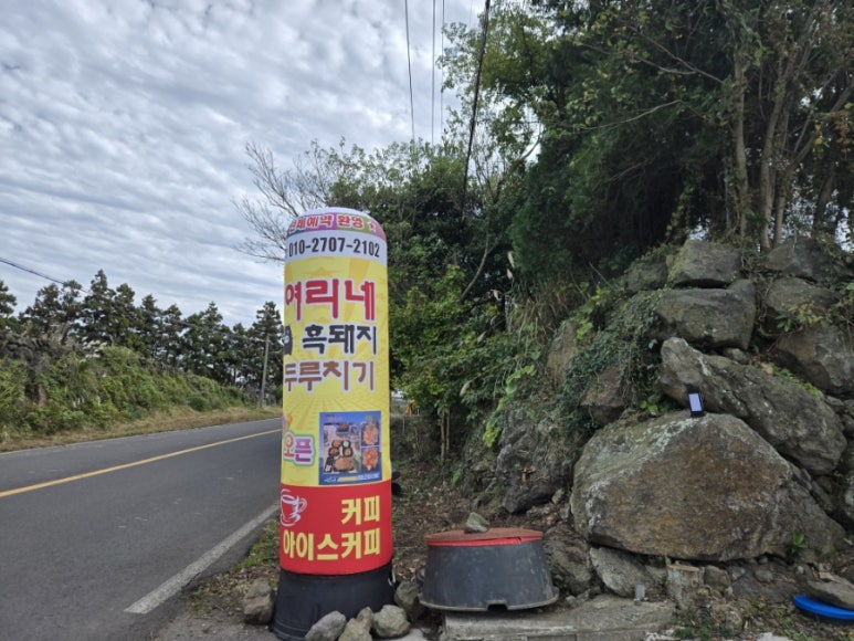 여리네 사진 6