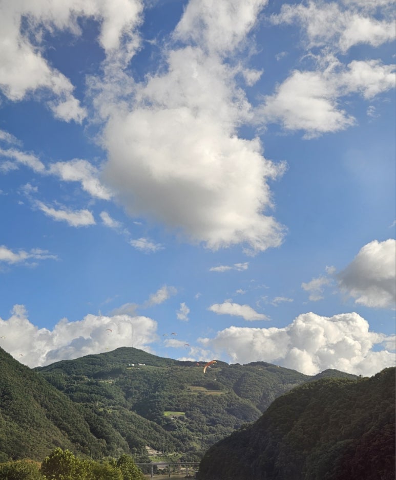 포시즌카라반 이미지