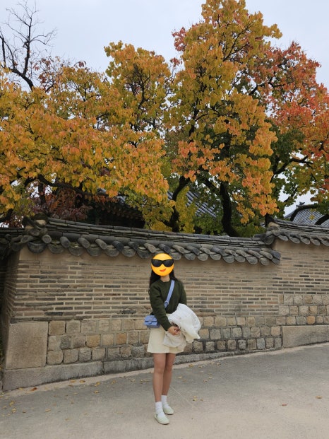 브뤼셀프라이 안국점 사진 7