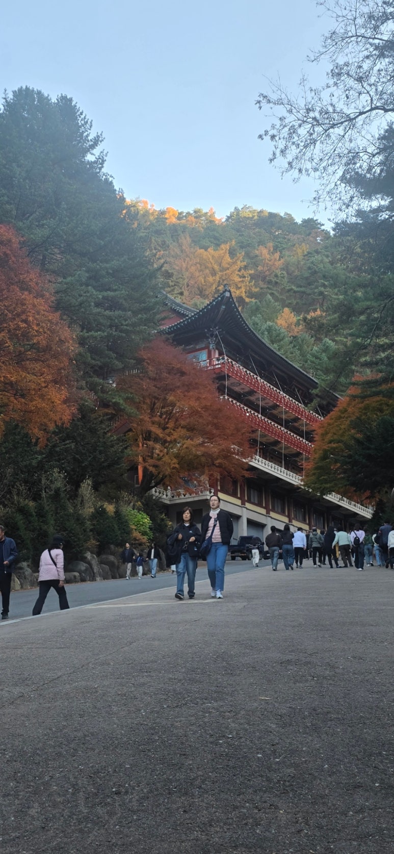 구인사 주차장 이미지