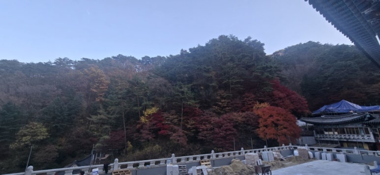 구인사 주차장 이미지