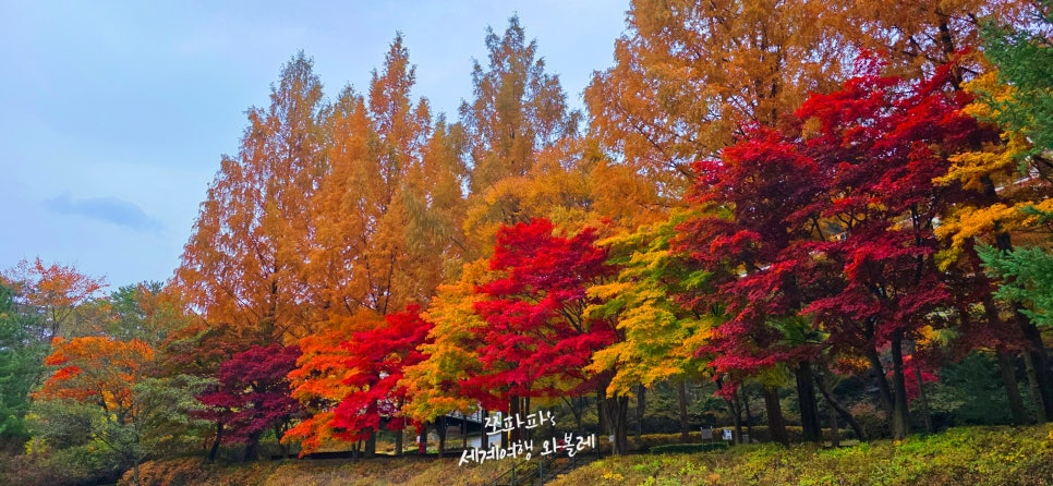 다리안관광지 이미지