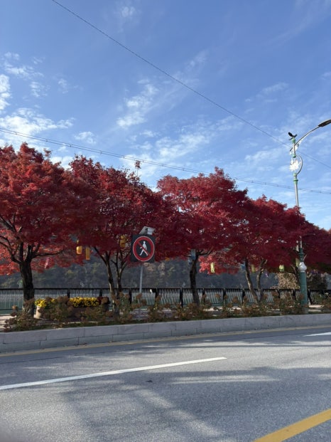 소노벨단양 미채원 이미지