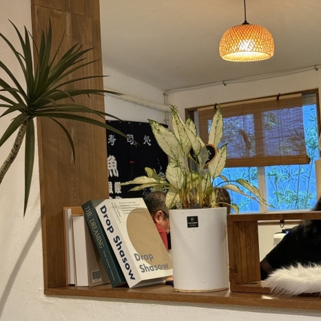 최지훈스시 이미지