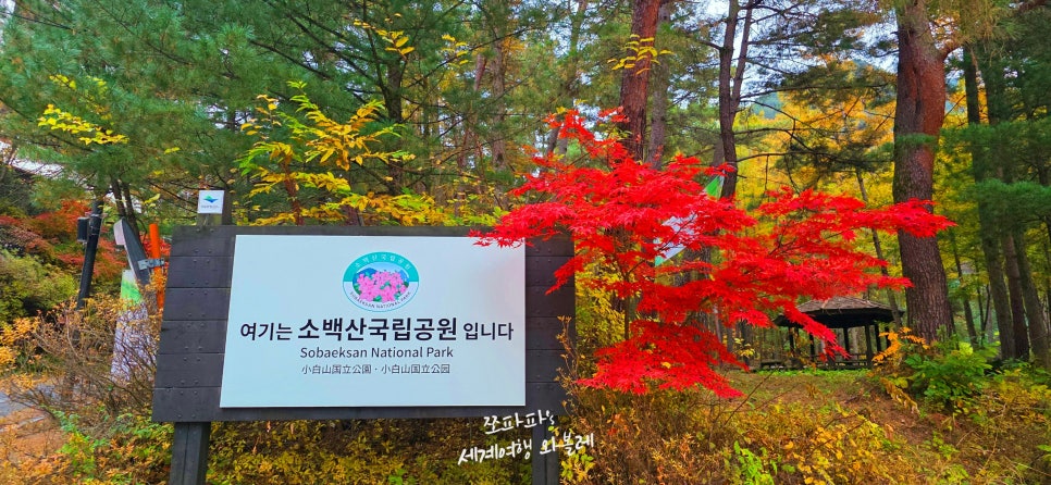 다리안관광지 이미지