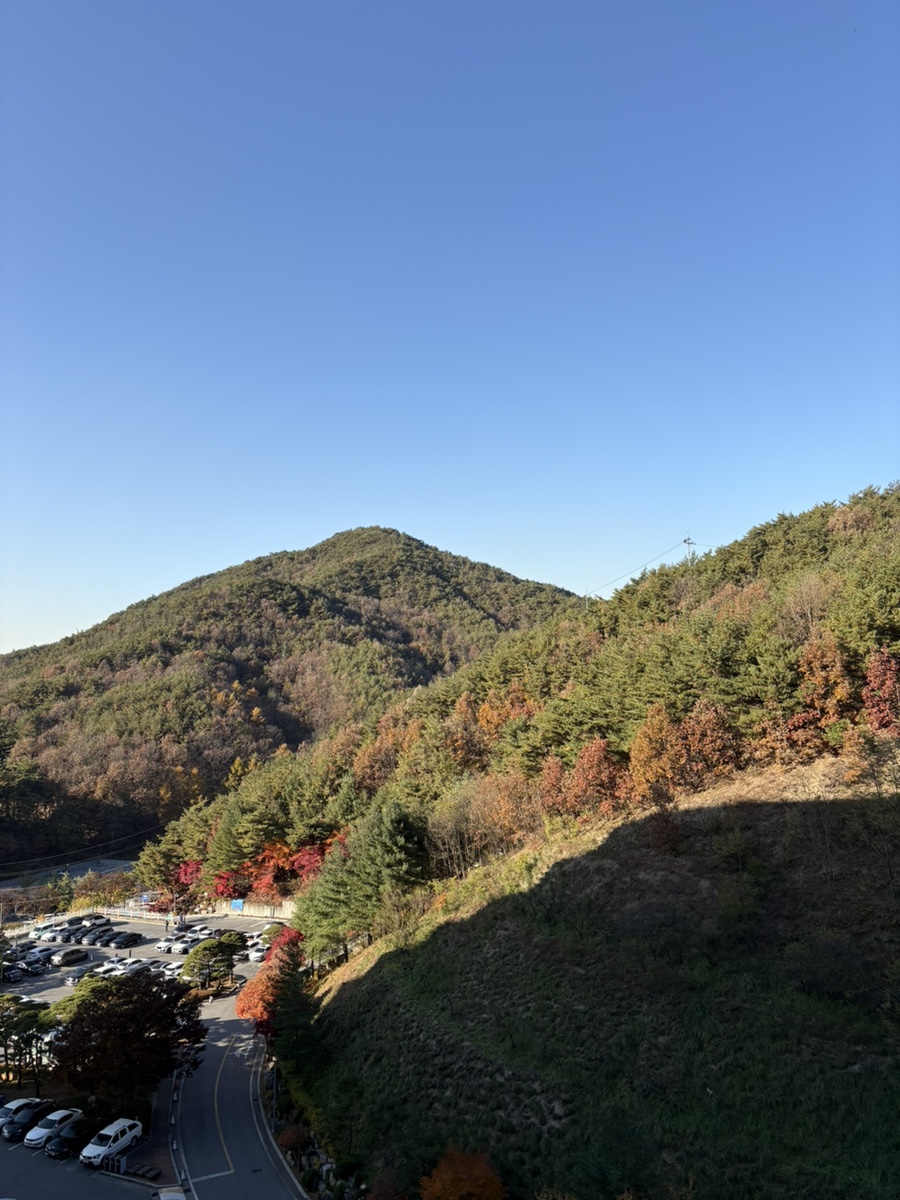 소노벨단양 미채원 이미지