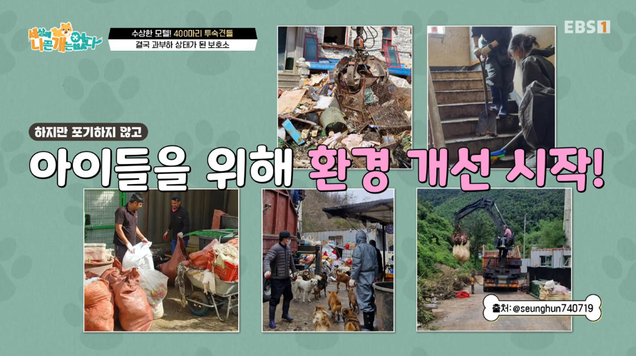 노원 반려견 무료 미용 & 기부 참여 안내 — 사진 8
