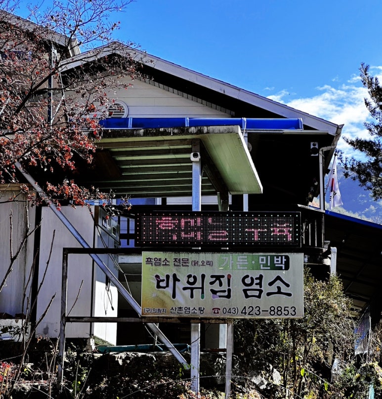 바위집염소 이미지