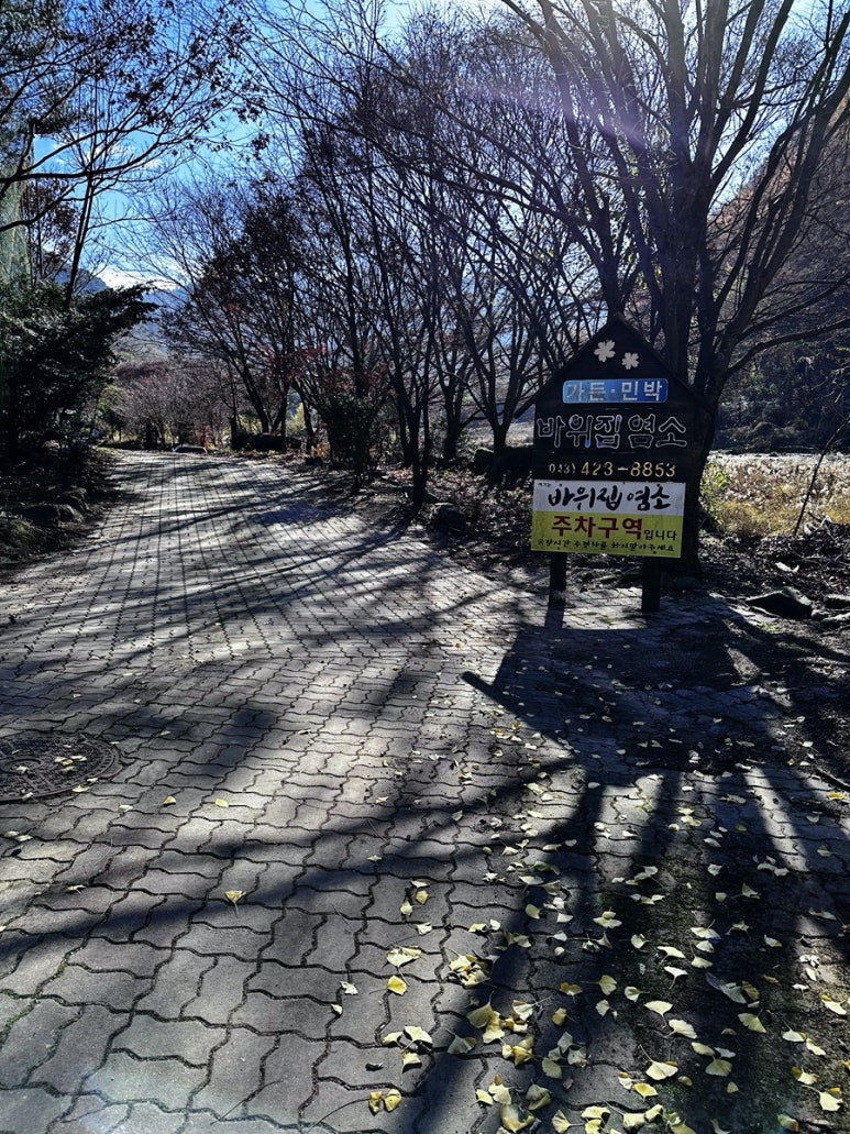 바위집염소 이미지