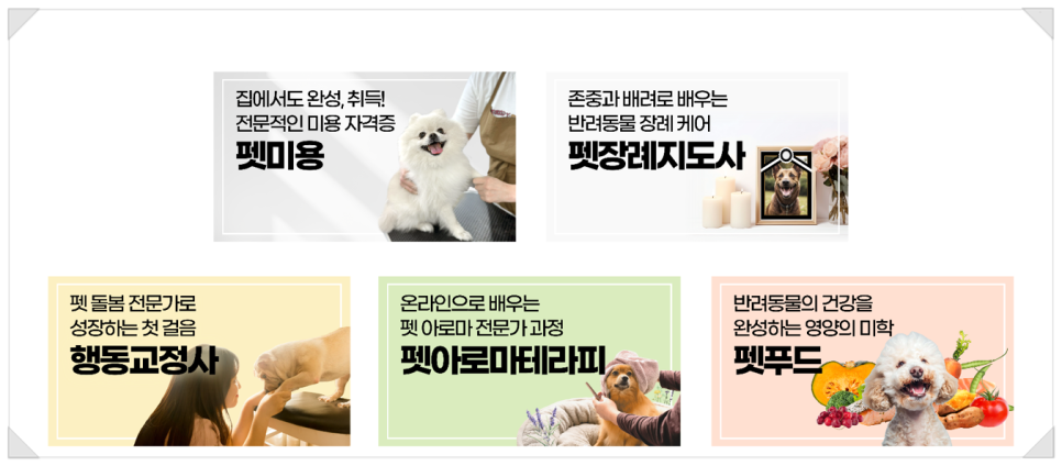 노원 반려견 무료 미용 & 기부 참여 안내 — 사진 9