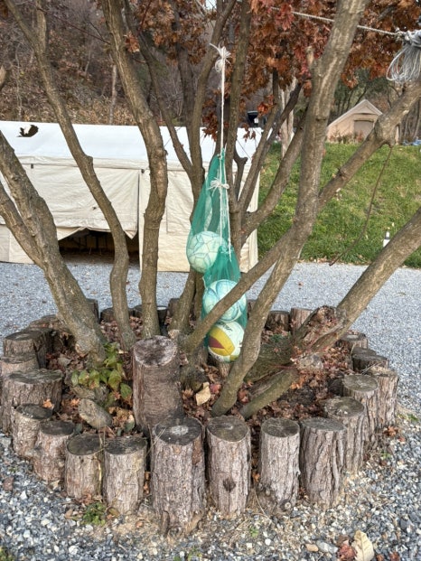 단양오지캠핑장 이미지