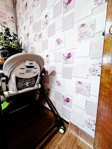 바위집염소 이미지