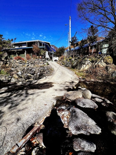 바위집염소 이미지