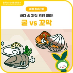 겨울 바다의 별미! [굴 vs 꼬막] 당신의 선택은? 바로가기
