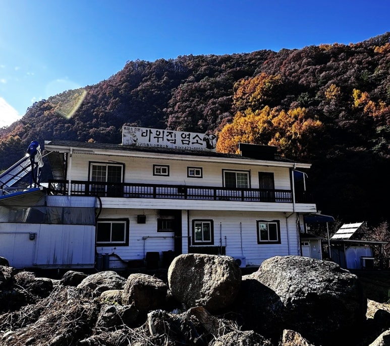 바위집염소 이미지