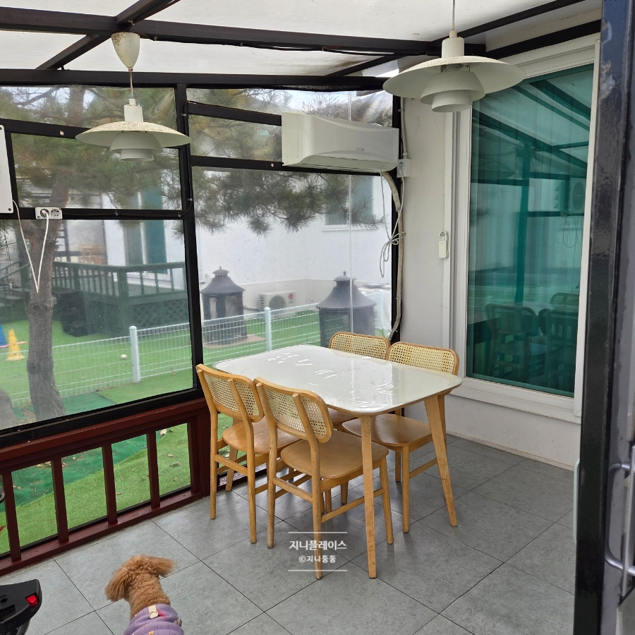 단양 댕댕이애견펜션 이미지