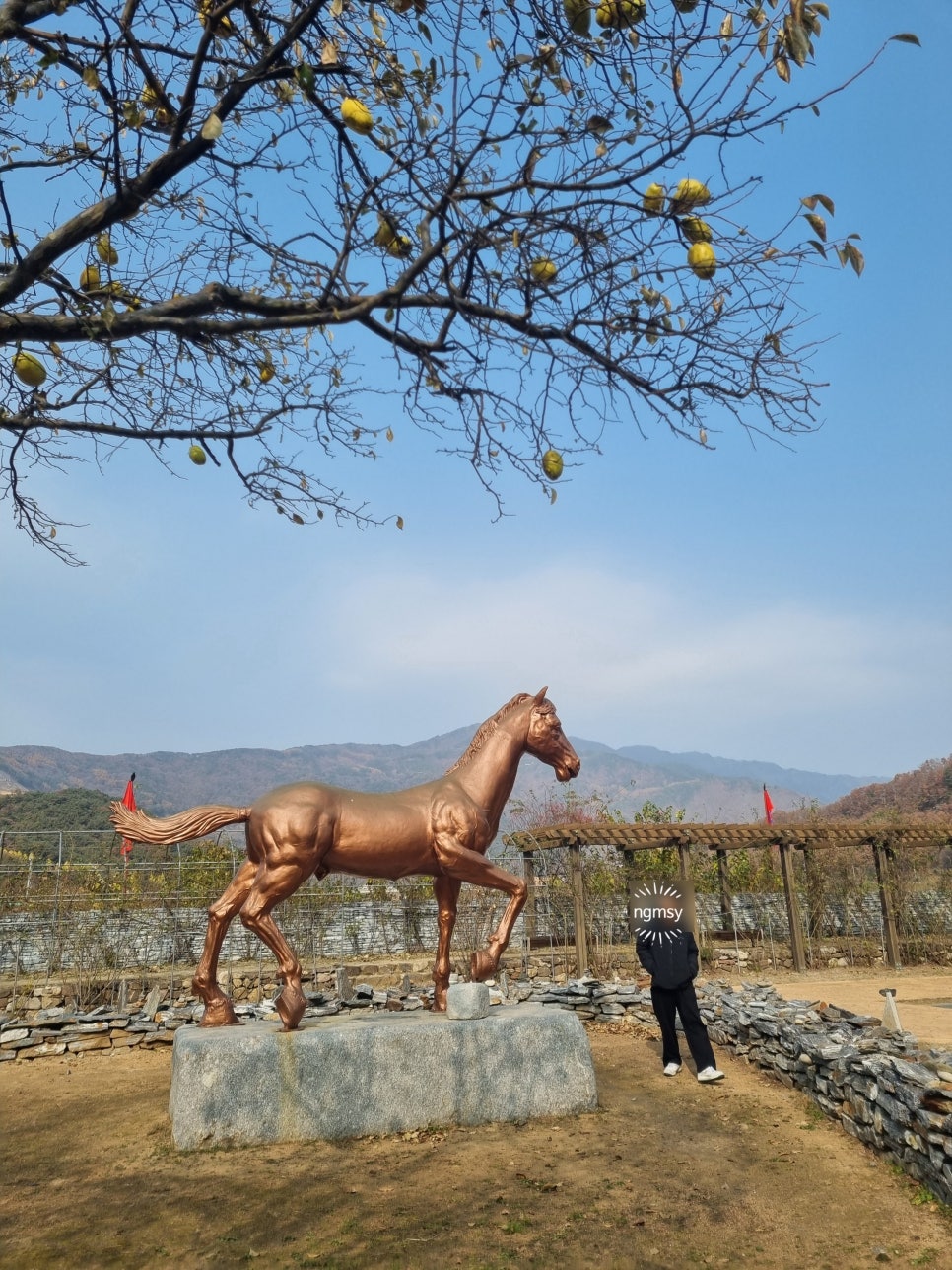 온달관광지 온달관 이미지