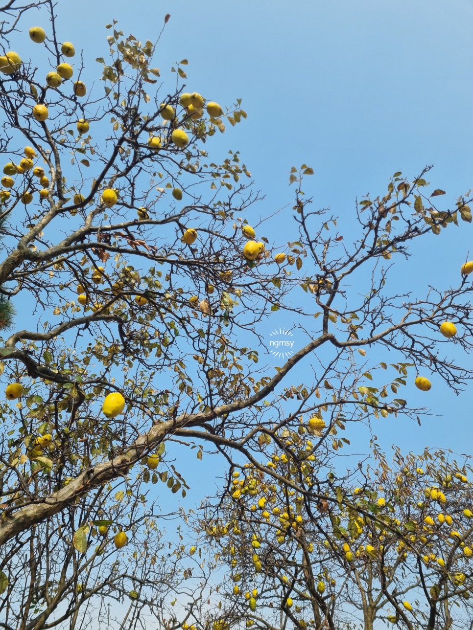 온달관광지 온달관 이미지