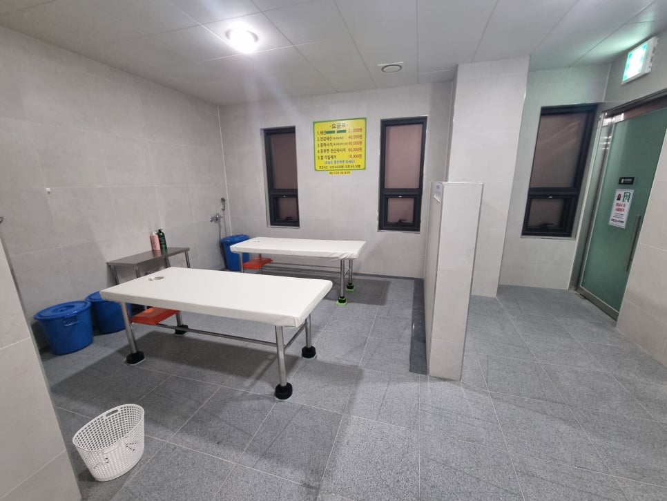 브로콜리 지역정보 관련 사진 4