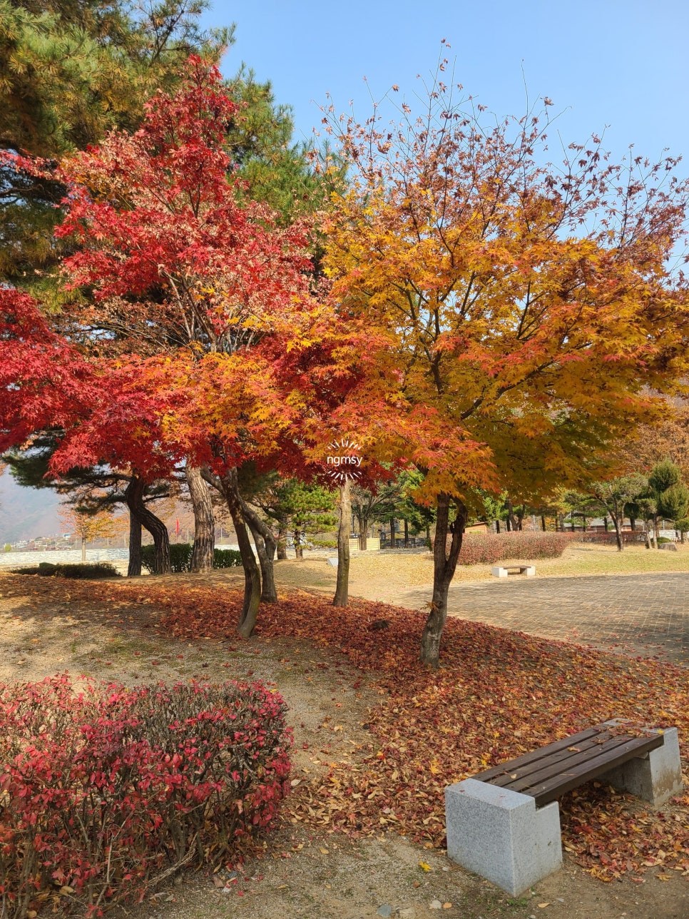 온달관광지 온달관 이미지