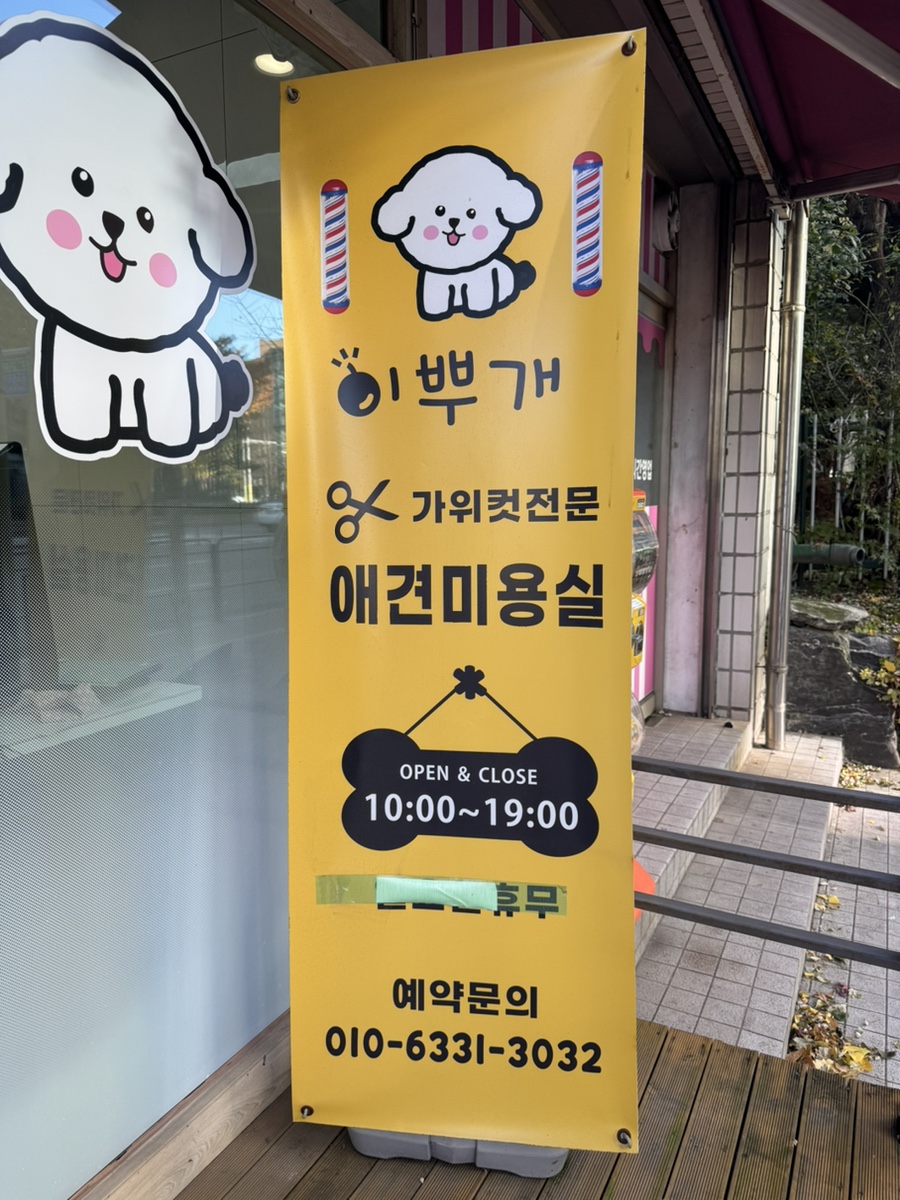 영등포 비숑 위생미용, 이뿌개에서 합리적인 가격으로! — 사진 2