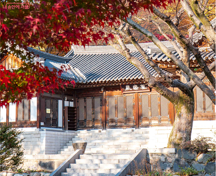 브로콜리 지역정보 관련 사진 4