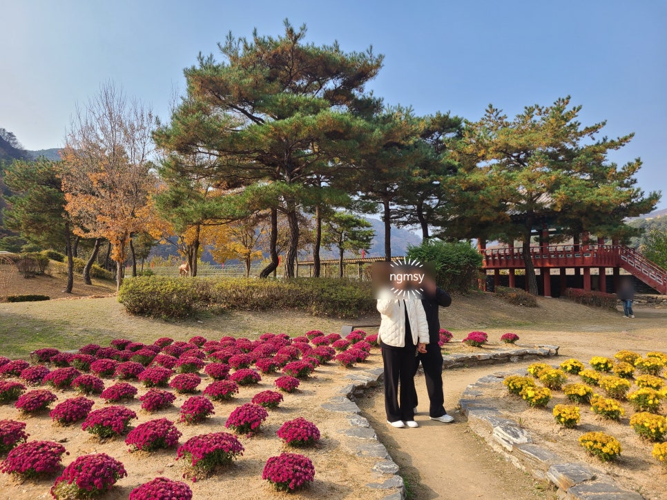 온달관광지 온달관