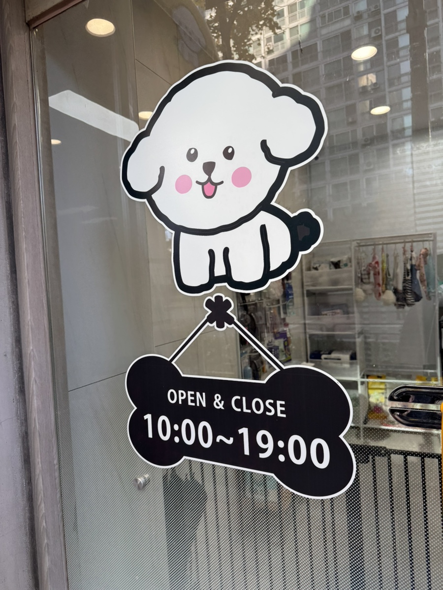 영등포 비숑 위생미용, 이뿌개에서 합리적인 가격으로! — 사진 3